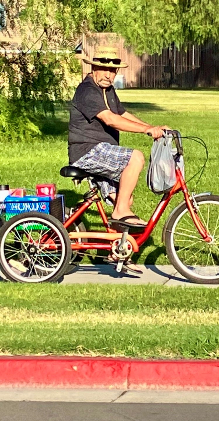 Obituary of Jose C Vieira