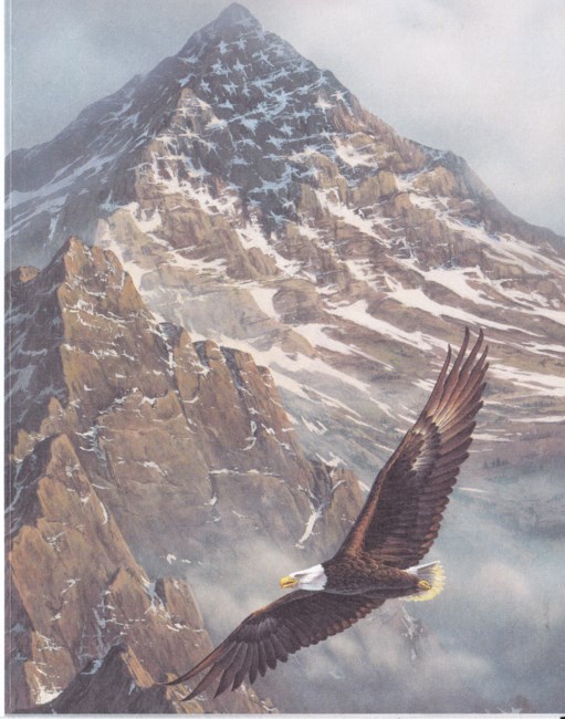 Obituary of Howard Lloyd Bean