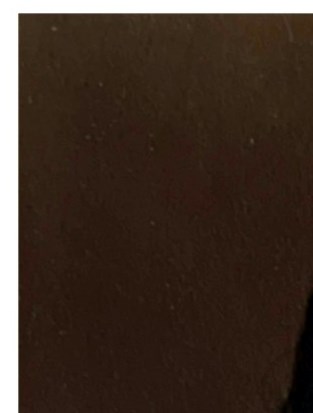 Rosemarie Wimberly Obituary Chicago IL rosemarie-wimberly-obituary-chicago-il