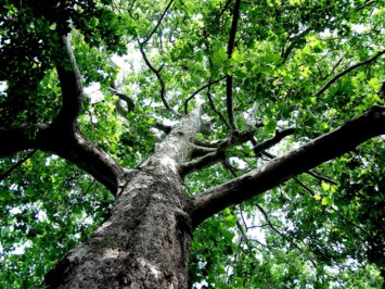 Obituary of Robert Donald Kelly