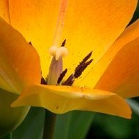 Obituary of Grace Martinez