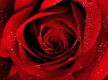 Obituary of Billy Wayne Barker