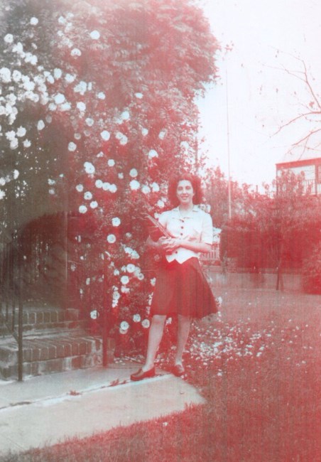 Obituary of Amelia Carlson