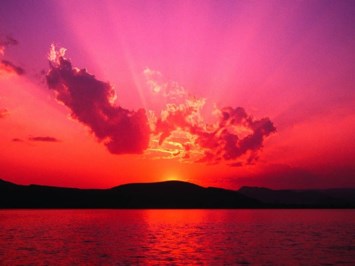 Obituary of Roberta Lynn Hirst