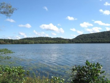 Obituary of John F Healy Jr.