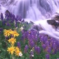 Obituary of Timothy Dean Baldwin