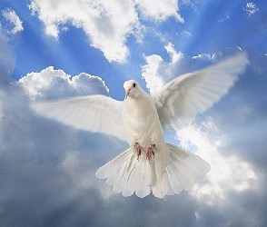 Obituary of Adrian Paz Bautista