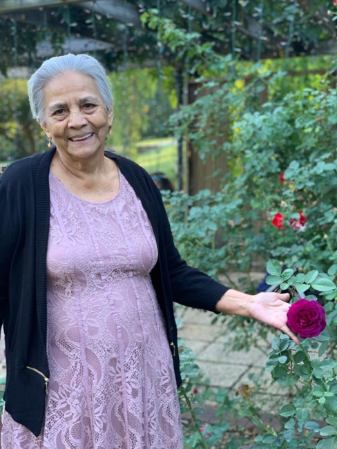Obituary of Guadalupe Del Carmen Andrade Benitez