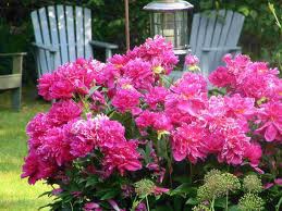 Obituary of Doris S. Hansen