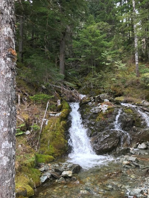 Obituario de Bruce Russell Antecol