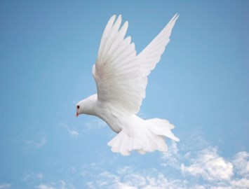 Obituary of Gloria Jean Cisneros