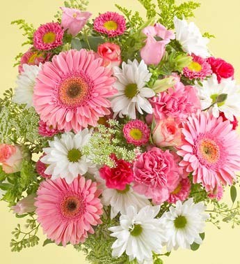 Obituary of Rose Disley