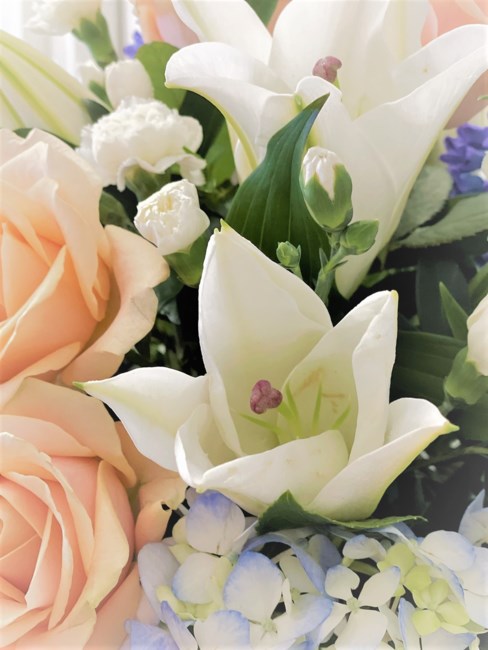 Obituary of Wai Ling Lam