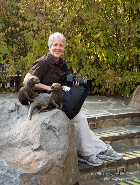 Obituary of Karen Anne Karcher