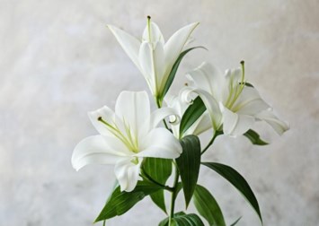 Obituary of Irvin Bernard Puskin