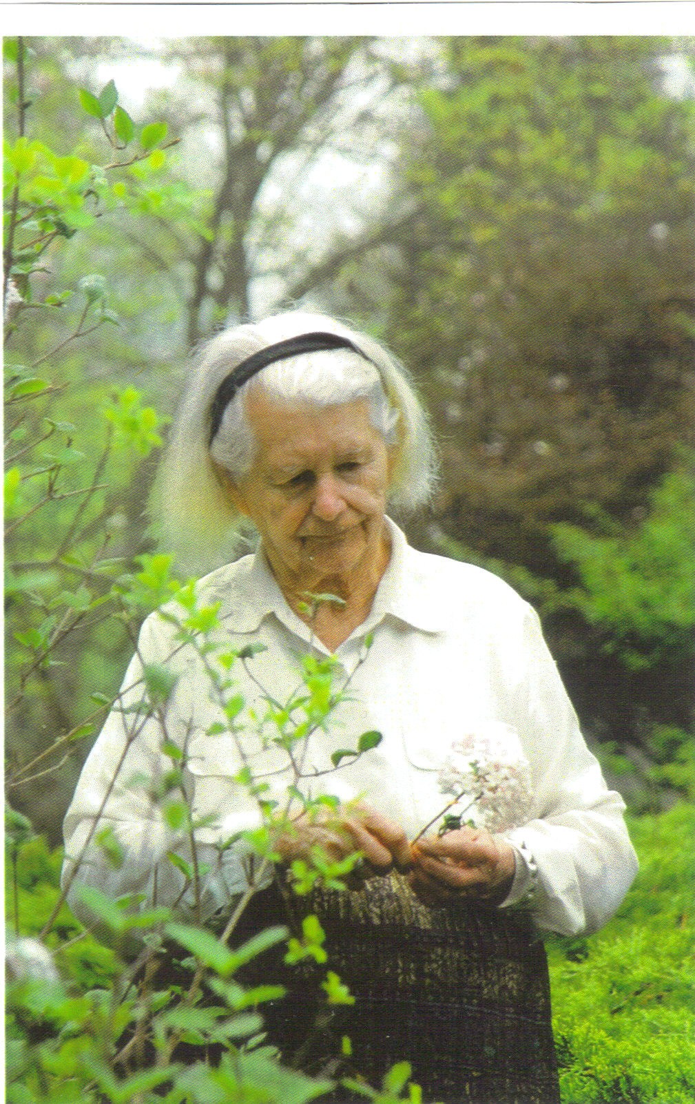 Obituary of Sylvia Lucy Eden Marchant Davis Marsh