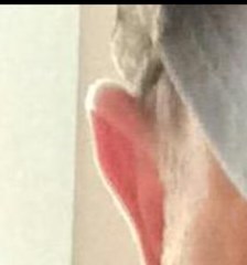 Jacob Earl Rowell Obituary - Concord, NH