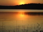 Obituary of Robert Allen "Rob" Johnson