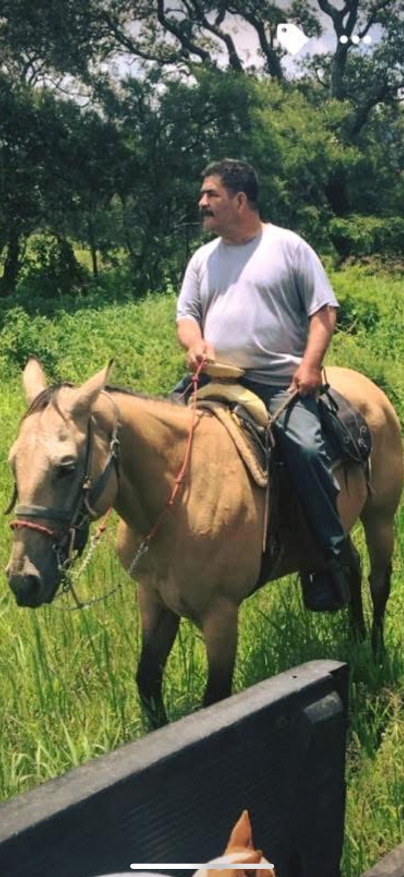 Obituary of Gabino M Cisneros