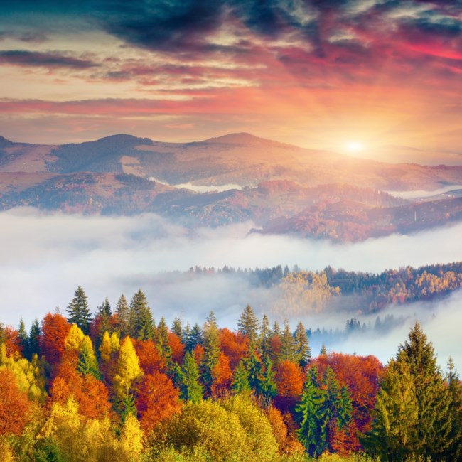 Obituary of Mary Ellen Duncan