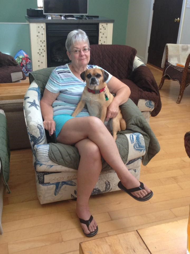 Obituary of Lynnette Ann Schultz