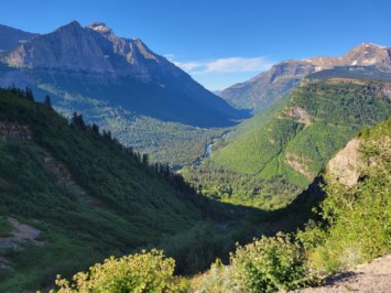 Obituary of Dannette Jane Wolfe