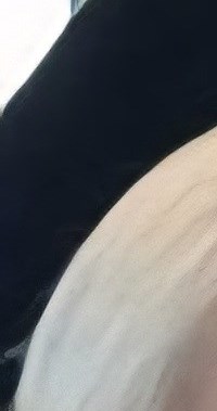 Ruth Voelker Obituary Columbus OH ruth-voelker-obituary-columbus-oh