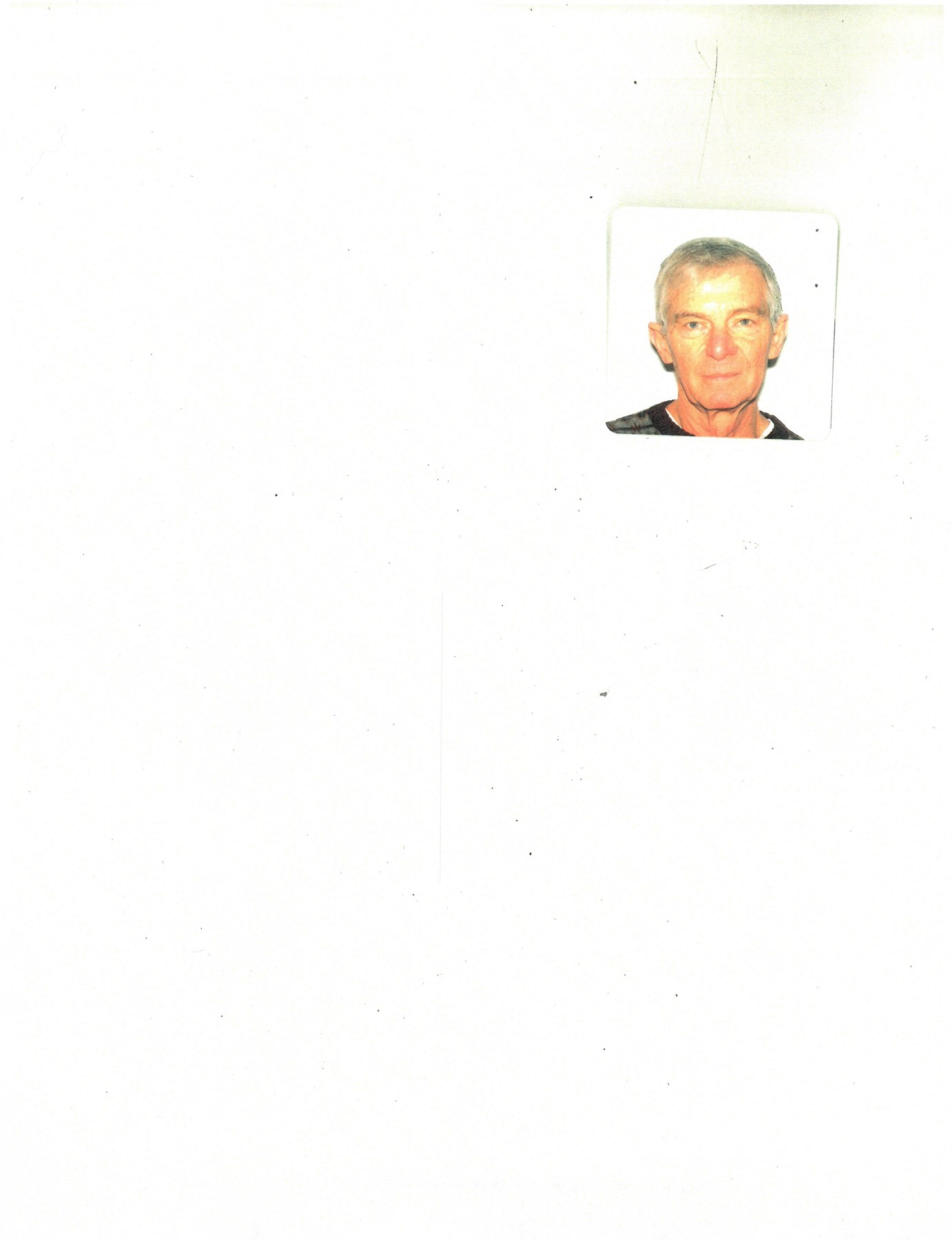 Obituary of David Grillo Jr.