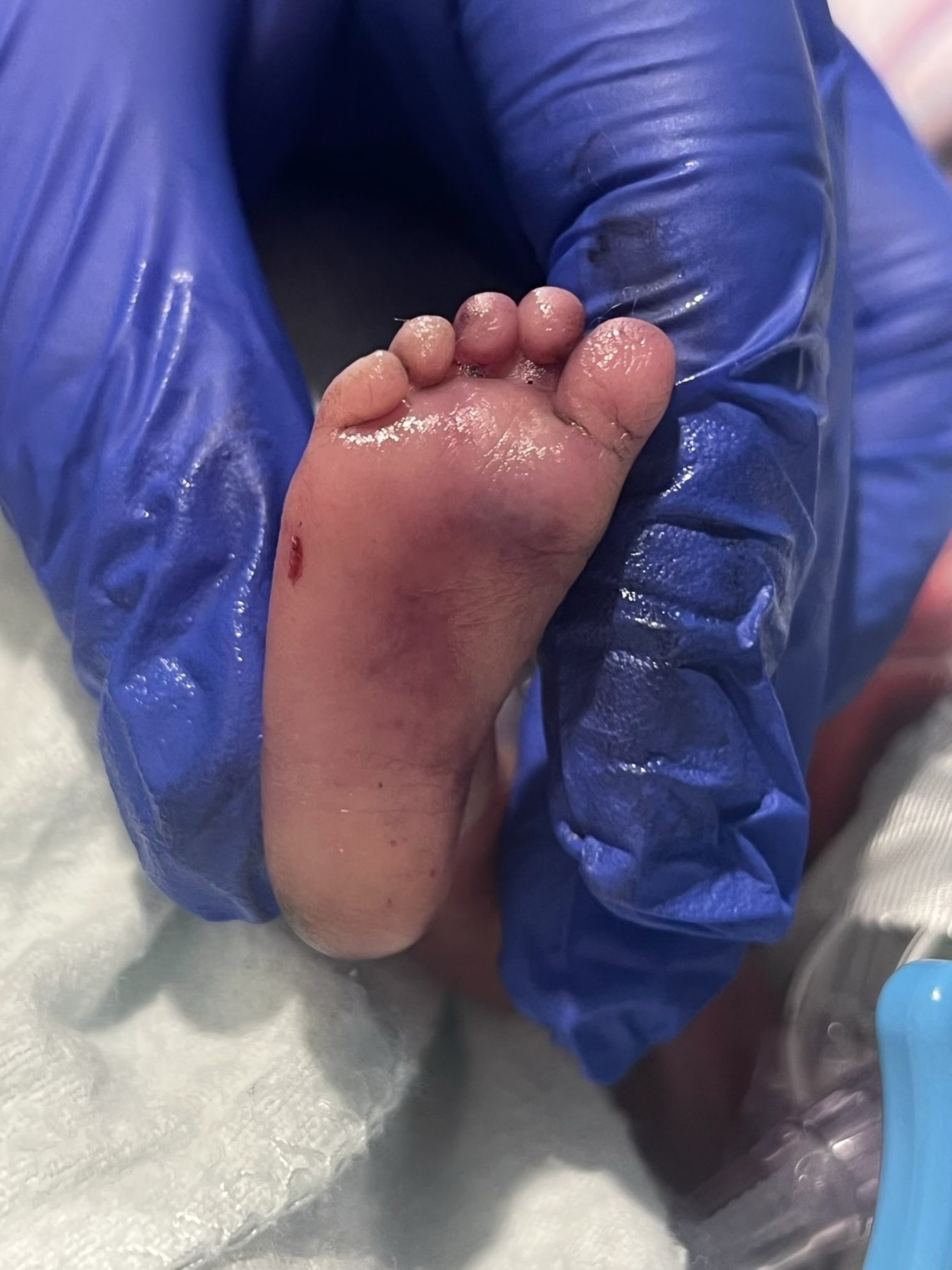 Obituary of Kamilah Genevah Galvan