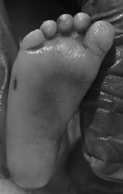 Avis de décès de Kamilah Genevah Galvan