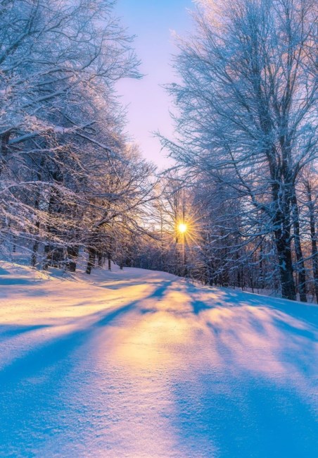 Obituary of Sandra Lea Simpson-Polaski