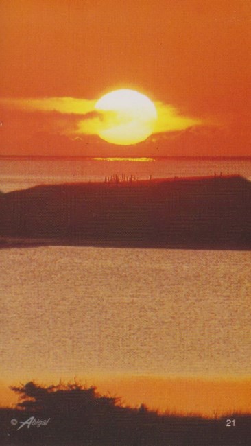 Obituary of Deborah Flagg Scott