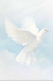 Obituary of Ofelia Cruz