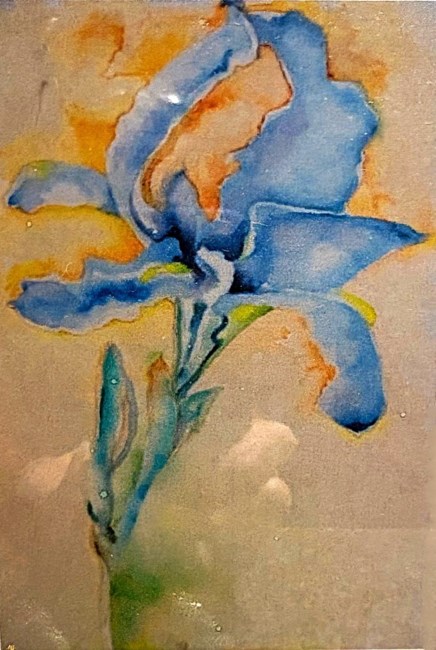 Obituary of Judy Kay Green