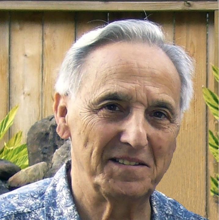 Louis Daleo Obituary Houston, TX