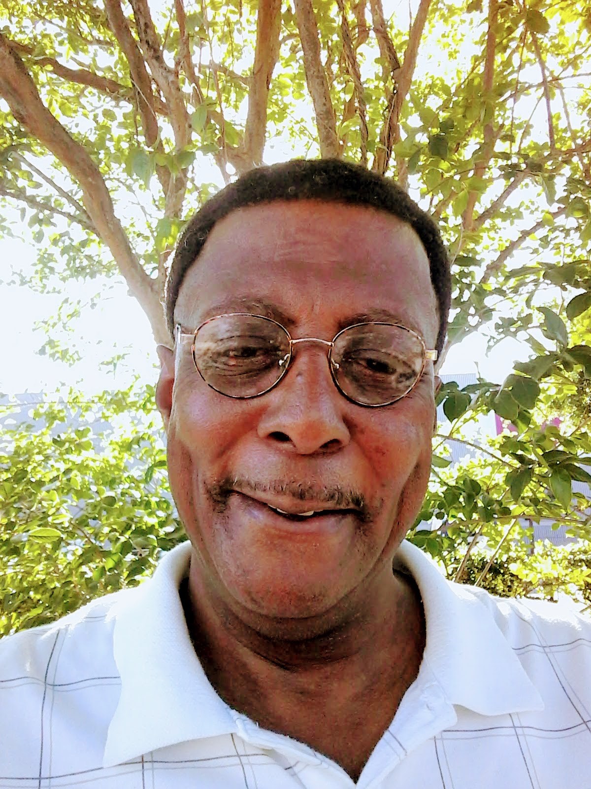 Obituary of Frankie Alonzo Franklin