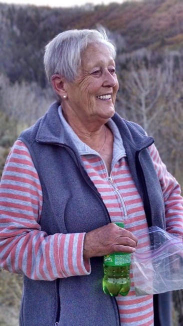 Obituary of Carol S. Erickson