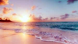 Obituary of Mathew James Holman