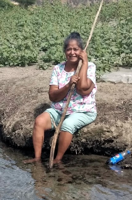 Obituary of Araseli Hernandez de Moreno