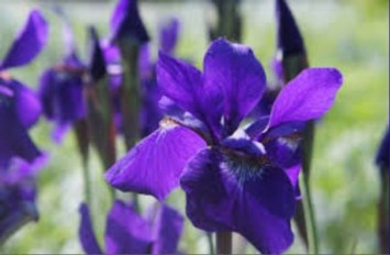 Obituary of Carolyn June Hess