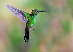 Obituary of Vicki Jo Phillips