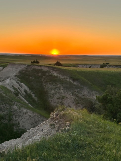 Obituary of Sonja Lee (Fafnis) White