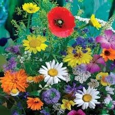 Obituary of Kathleen Bower