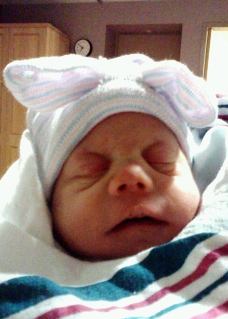 Obituary of Hannah Elizabeth Siebert