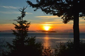 Obituary of Carolyn May Troupe