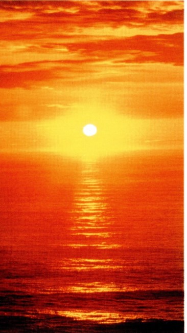 Obituary of Emma Hoag