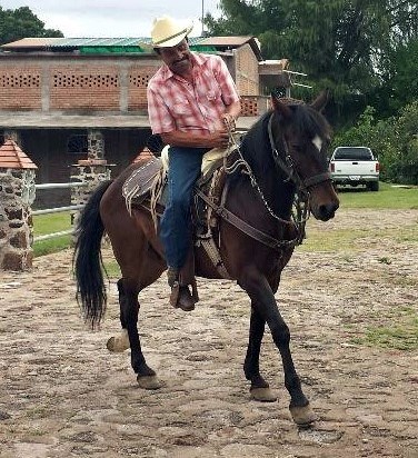 Obituary of Jose "Pepe" Luis Vazquez Luna