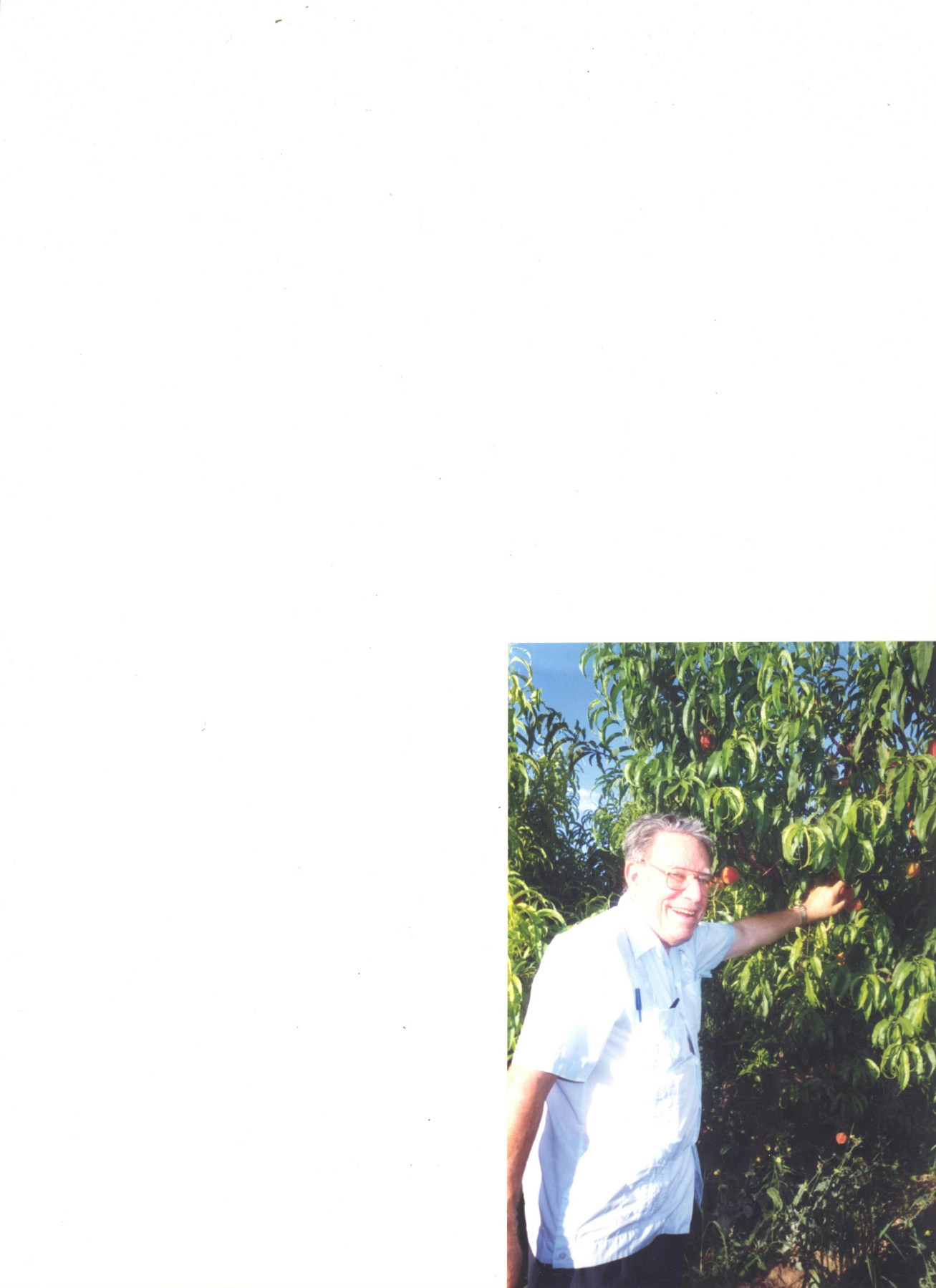 Obituary of Louis Boss Joseph Ricci