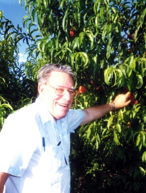 Obituary of Louis Boss Joseph Ricci