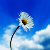 Obituary of Laura Ruth Johnston McCoy